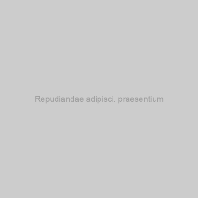 VIP диван с расширенным функционалом